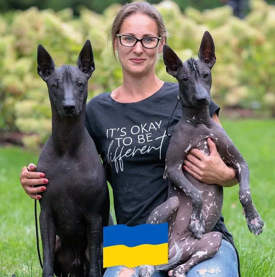 Hanna Pronska profile picture
