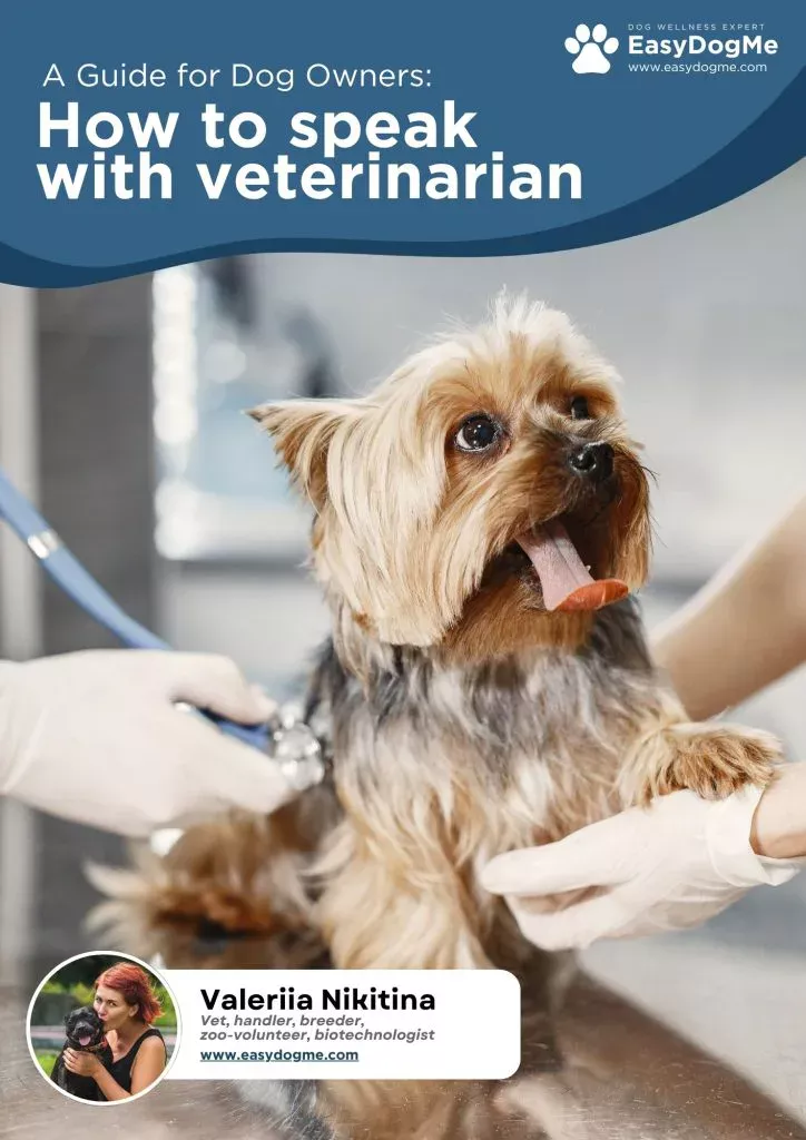 Get the guide “How to speak with a veterinarian.”