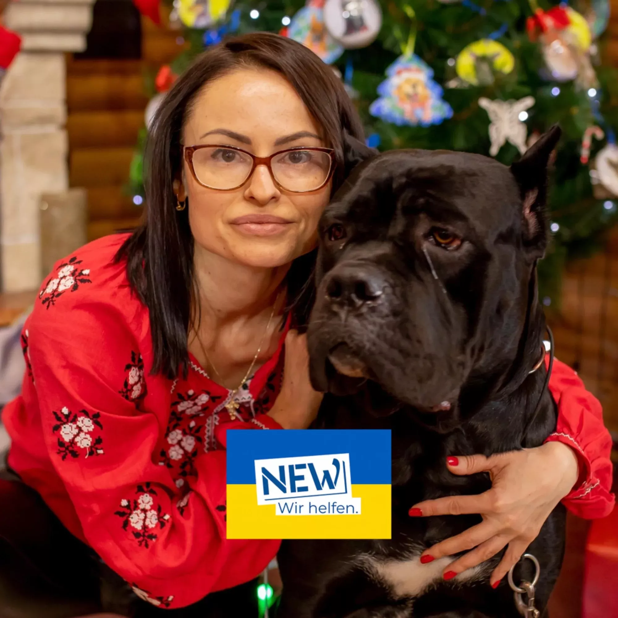 Galyna Bogdanova profile picture